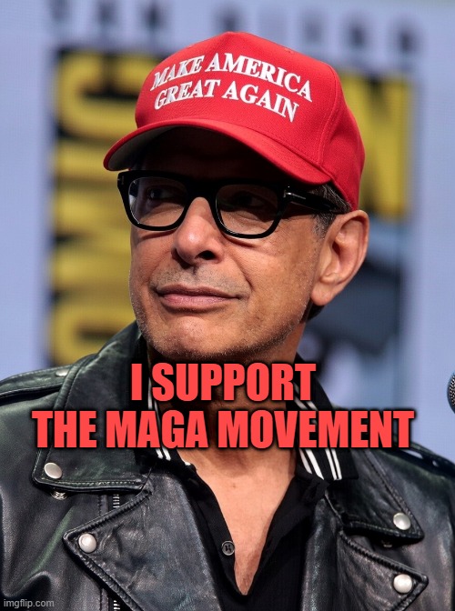 JEFF GOLDBLUM MAGA HAT AI IMAGE | I SUPPORT THE MAGA MOVEMENT | image tagged in jeff goldblum maga hat ai image | made w/ Imgflip meme maker