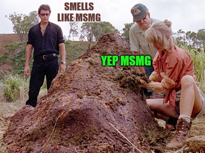 Jurassic Park Shit | SMELLS LIKE MSMG; YEP MSMG | image tagged in jurassic park shit | made w/ Imgflip meme maker