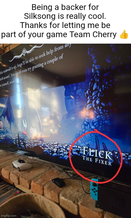 Being a backer for Silksong is really cool. Thanks for letting me be part of your game Team Cherry 👍 | made w/ Imgflip meme maker