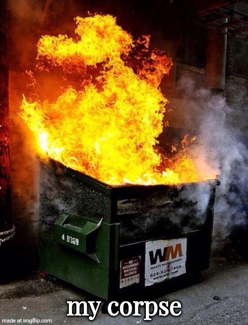 Dumpster Fire | my corpse | image tagged in dumpster fire | made w/ Imgflip meme maker