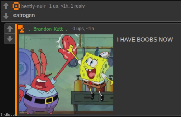 made w/ Imgflip meme maker