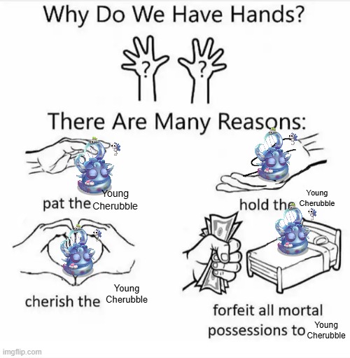 Trust Me, Young Cherubble is so Cute. | Young Cherubble; Young Cherubble; Young Cherubble; Young Cherubble | image tagged in why do we have hands all blank,young cherubble | made w/ Imgflip meme maker