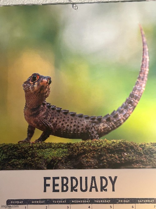 goober | made w/ Imgflip meme maker