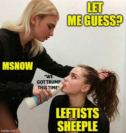LET ME GUESS? LEFTISTS SHEEPLE MSNOW ''WE GOT TRUMP THIS TIME'' | made w/ Imgflip meme maker