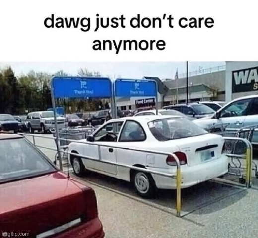 image tagged in msmg,funny,cars | made w/ Imgflip meme maker