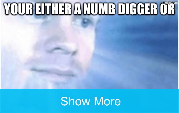 Really said it no cap click show more | YOUR EITHER A NUMB DIGGER OR | image tagged in in heaven looking down,numb digger,racist,troll,memes | made w/ Imgflip meme maker