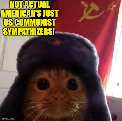 NOT ACTUAL AMERICAN'S JUST US COMMUNIST SYMPATHIZERS! | made w/ Imgflip meme maker