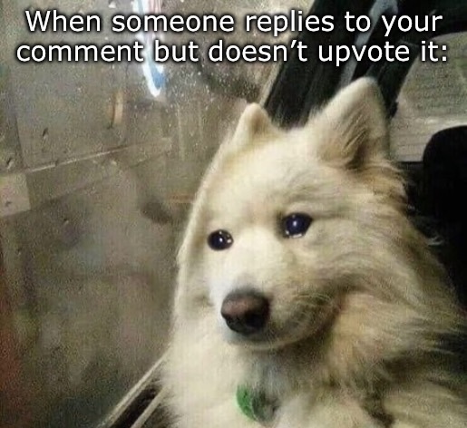 When someone replies to your comment but doesn’t upvote it Blank Meme Template
