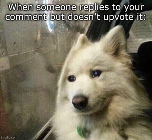 :( | image tagged in when someone replies to your comment but doesn t upvote it,msmg,funny,relatable | made w/ Imgflip meme maker