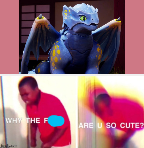 Riyu is best dragon | image tagged in why the f are you so cute,ninjago | made w/ Imgflip meme maker