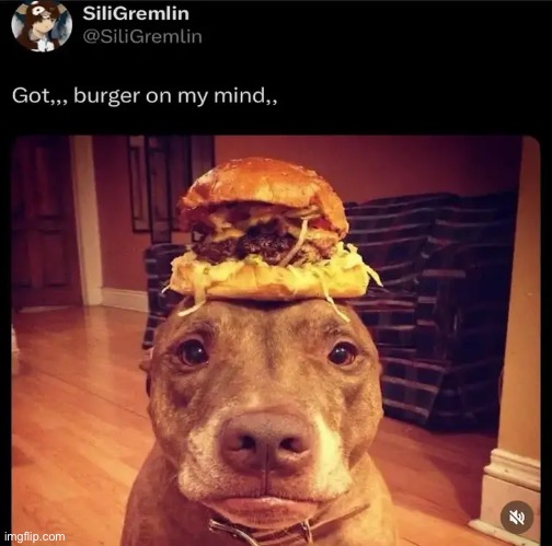 back to the memes before andrew executes me | made w/ Imgflip meme maker