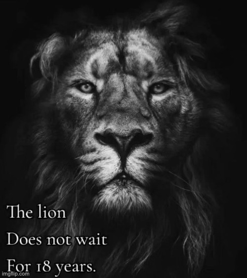 image tagged in memes,funny | made w/ Imgflip meme maker