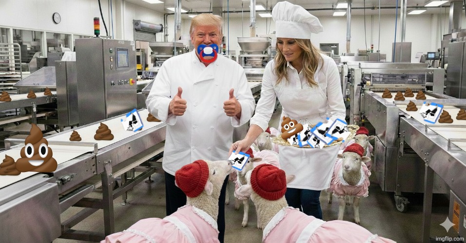 Trump serving nothing but shit | image tagged in trump serving nothing but shit,maga,jeffrey epstein,shit,melania trump,documentary | made w/ Imgflip meme maker