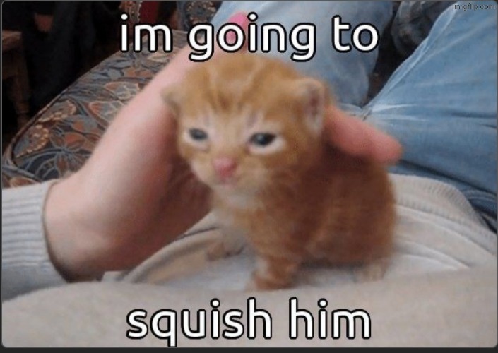 Cat | made w/ Imgflip meme maker