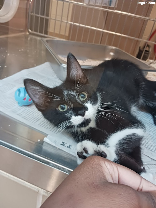 such a sweet baby | made w/ Imgflip meme maker