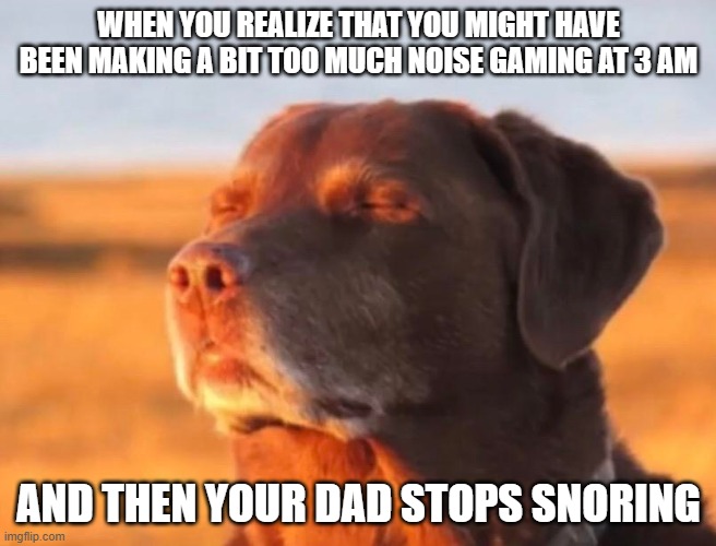 Dog accepting fate | WHEN YOU REALIZE THAT YOU MIGHT HAVE BEEN MAKING A BIT TOO MUCH NOISE GAMING AT 3 AM; AND THEN YOUR DAD STOPS SNORING | image tagged in dog accepting fate,pray,for,me | made w/ Imgflip meme maker