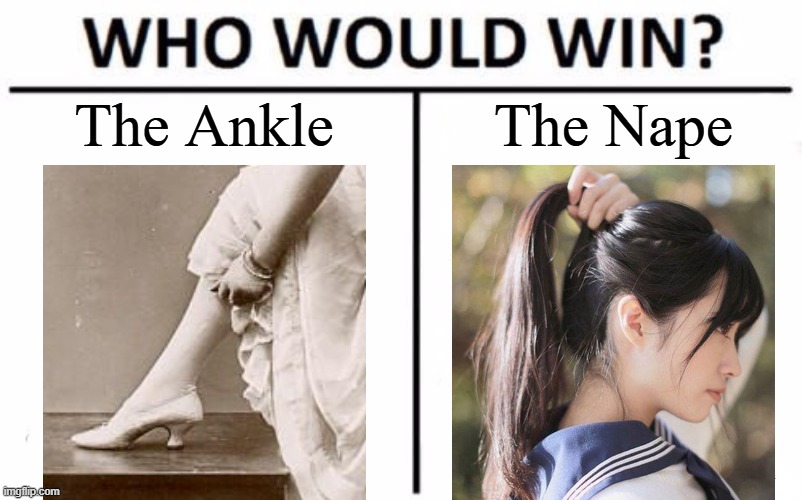 meme for the OG gooners only | The Ankle; The Nape | image tagged in memes,who would win | made w/ Imgflip meme maker