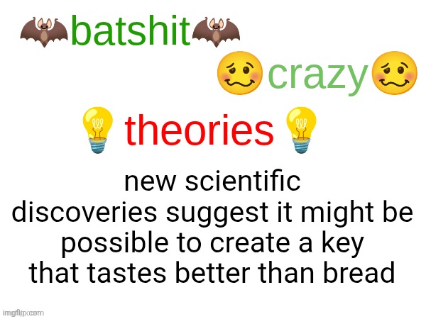 batshit crazy theories | new scientific discoveries suggest it might be possible to create a key that tastes better than bread | image tagged in batshit crazy theories | made w/ Imgflip meme maker
