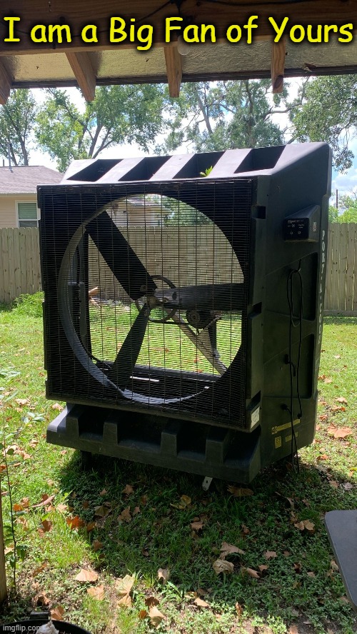 Send this to people you respect, follow, or think are great! | I am a Big Fan of Yours | image tagged in big,fan,sharing,caring,sharing is caring,wholesome content | made w/ Imgflip meme maker