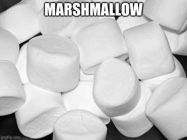 Marshmallow | MARSHMALLOW | image tagged in marshmallow | made w/ Imgflip meme maker