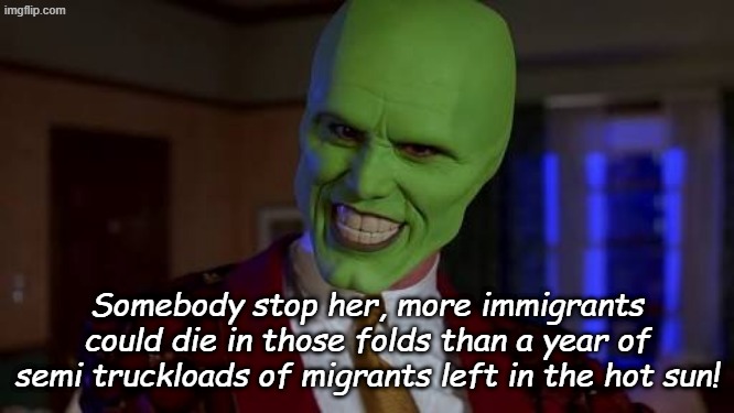Somebody stop me | Somebody stop her, more immigrants could die in those folds than a year of semi truckloads of migrants left in the hot sun! | image tagged in somebody stop me | made w/ Imgflip meme maker