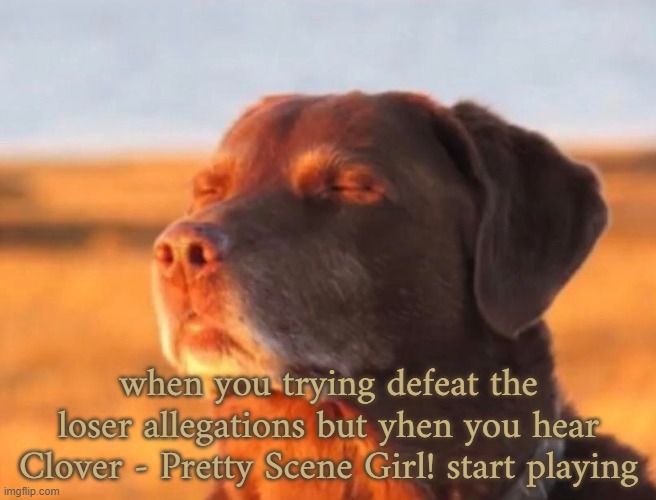 ... | when you trying defeat the loser allegations but yhen you hear Clover - Pretty Scene Girl! start playing | image tagged in dog accepting fate | made w/ Imgflip meme maker