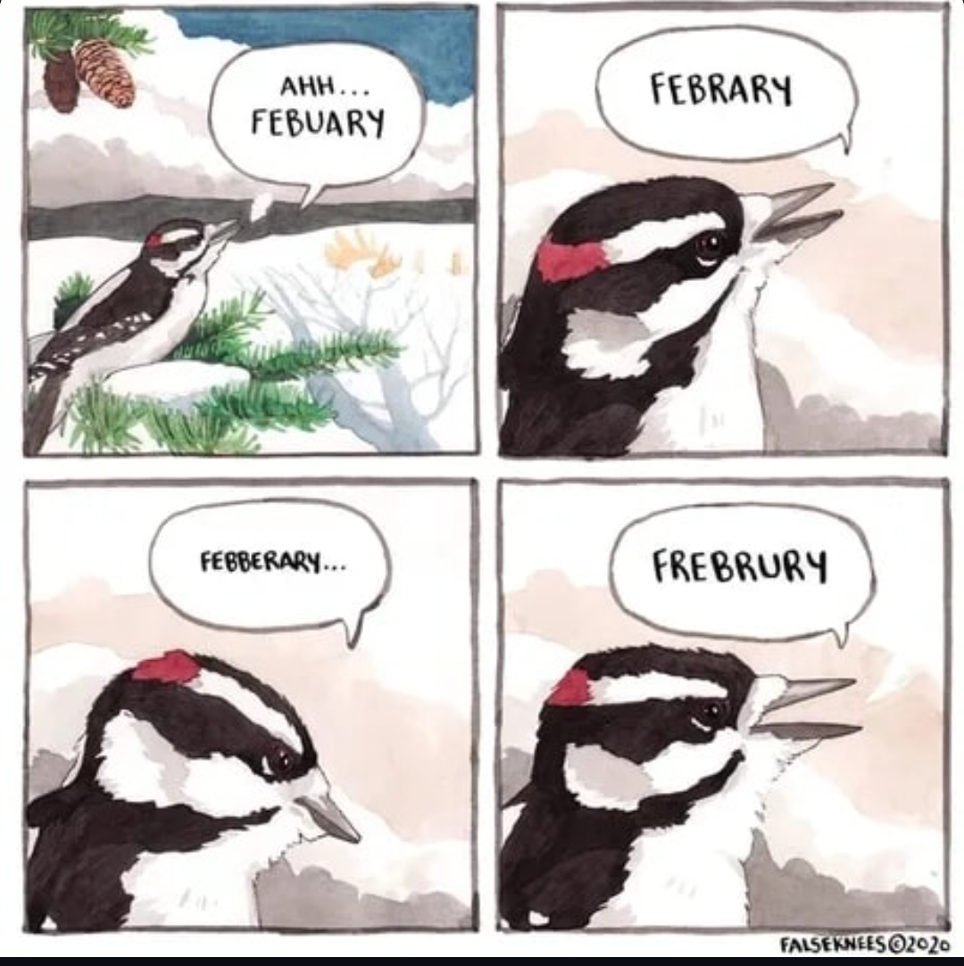 Mispronouncing bird Blank Meme Template