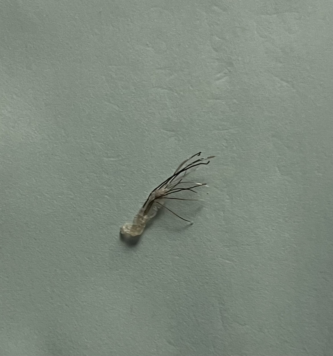 High Quality Booger Blank Meme Template