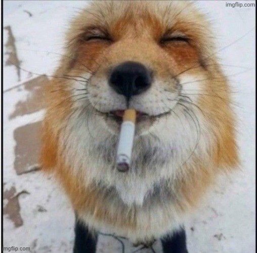 Guess we doing face reveals now | made w/ Imgflip meme maker