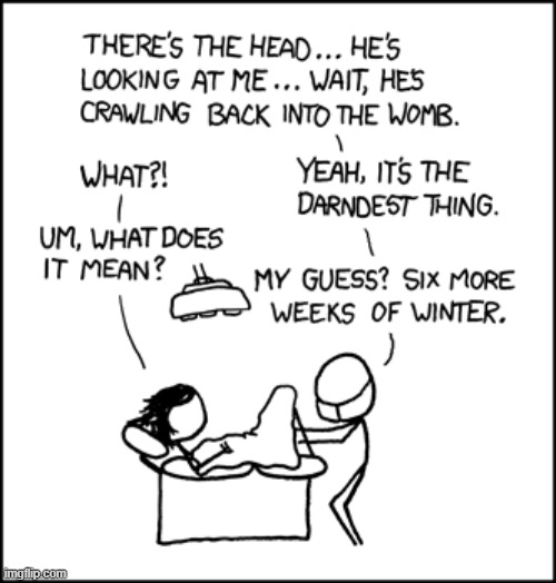 image tagged in hospital,pregnant,pregnancy,baby,womb,groundhog day | made w/ Imgflip meme maker