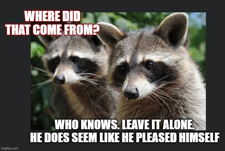 WHERE DID THAT COME FROM? WHO KNOWS. LEAVE IT ALONE. HE DOES SEEM LIKE HE PLEASED HIMSELF | made w/ Imgflip meme maker