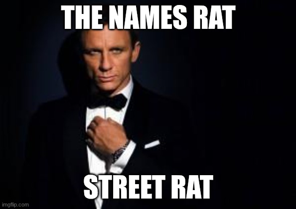 if you think about it. James bond is technically someones oc | THE NAMES RAT; STREET RAT | image tagged in james bond | made w/ Imgflip meme maker