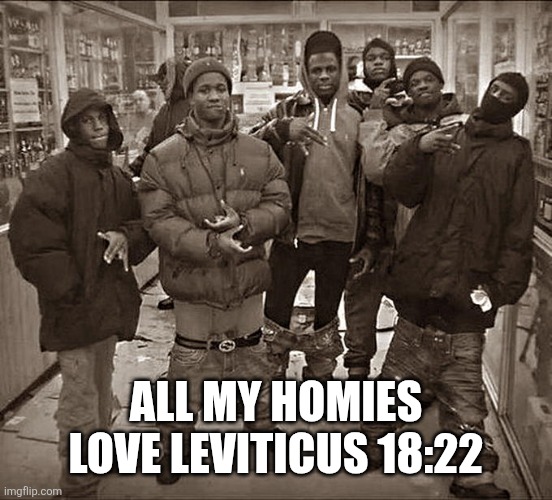 All My Homies Hate | ALL MY HOMIES LOVE LEVITICUS 18:22 | image tagged in all my homies hate | made w/ Imgflip meme maker