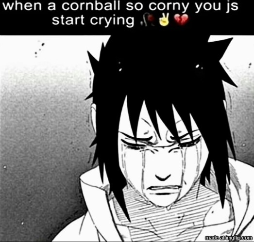 image tagged in when a cornball so corny you js start crying | made w/ Imgflip meme maker