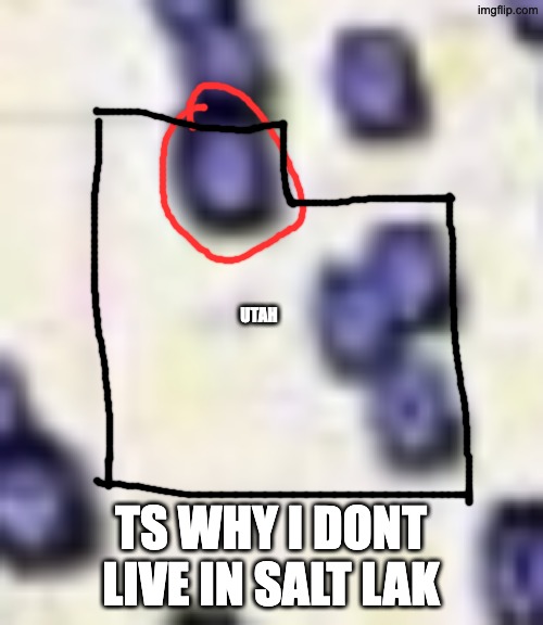 UTAH TS WHY I DONT LIVE IN SALT LAK | made w/ Imgflip meme maker