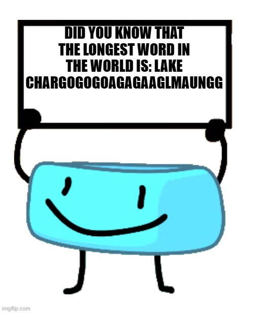 (acrat: actually no it is not) | DID YOU KNOW THAT THE LONGEST WORD IN THE WORLD IS: LAKE CHARGOGOGOAGAGAAGLMAUNGG | image tagged in bracelety sign | made w/ Imgflip meme maker
