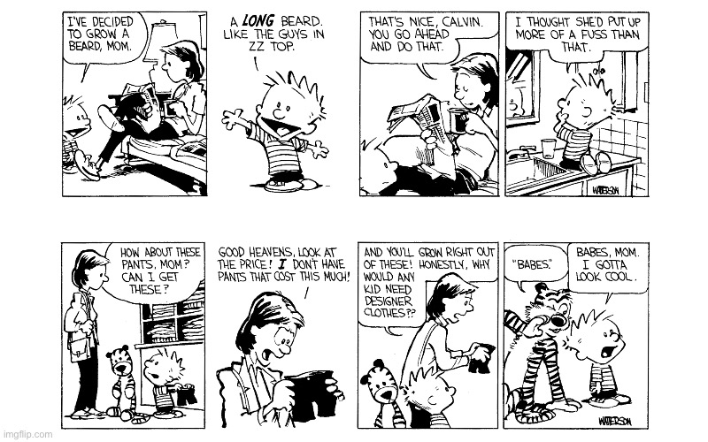 image tagged in calvin and hobbes,comics | made w/ Imgflip meme maker
