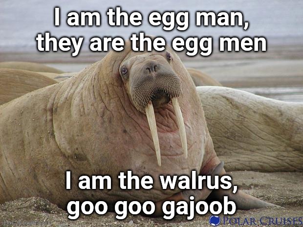 Walrus | I am the egg man, they are the egg men; I am the walrus,
goo goo gajoob | image tagged in walrus | made w/ Imgflip meme maker