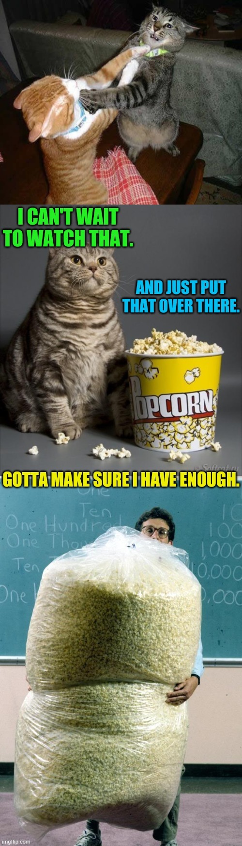 Here We Go Again...This Should Be Fun | image tagged in memes,politics,democrat,cat fight,cat eating popcorn,enough | made w/ Imgflip meme maker
