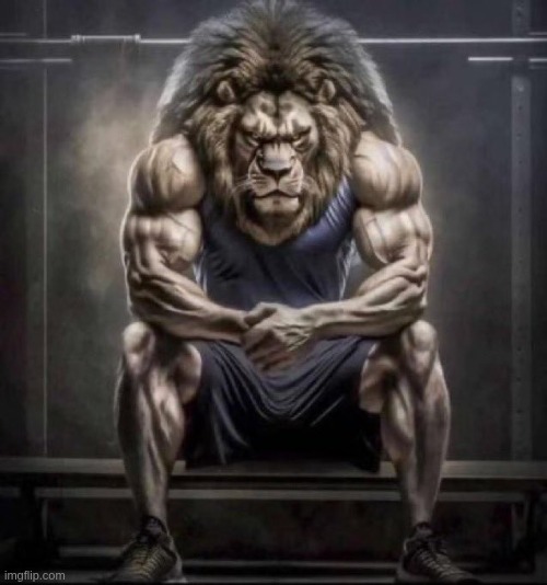 Buff lion sitting | image tagged in buff lion sitting | made w/ Imgflip meme maker