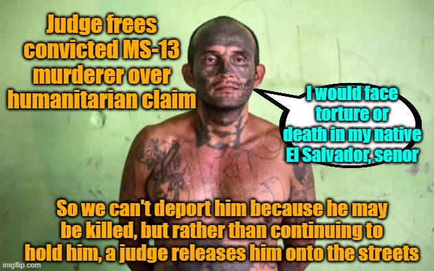 The logic of U.S. District Judge Richard F. Boulware II | Judge frees convicted MS-13 murderer over humanitarian claim; I would face torture or death in my native El Salvador, senor; So we can't deport him because he may be killed, but rather than continuing to hold him, a judge releases him onto the streets | image tagged in murder,judge,illegal immigration,liberal logic,gangs | made w/ Imgflip meme maker