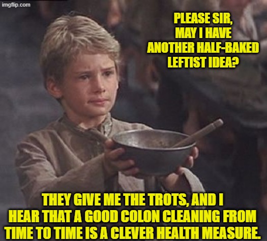 How it all really started. | PLEASE SIR, MAY I HAVE ANOTHER HALF-BAKED LEFTIST IDEA? THEY GIVE ME THE TROTS, AND I HEAR THAT A GOOD COLON CLEANING FROM TIME TO TIME IS A CLEVER HEALTH MEASURE. | image tagged in please sir may i have some more | made w/ Imgflip meme maker