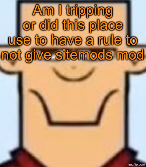 Sped Tyler | Am I tripping or did this place use to have a rule to not give sitemods mod | image tagged in sped tyler | made w/ Imgflip meme maker