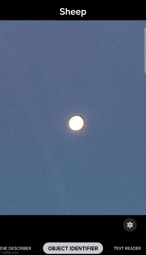 Yea the moons a sheep guys | made w/ Imgflip meme maker
