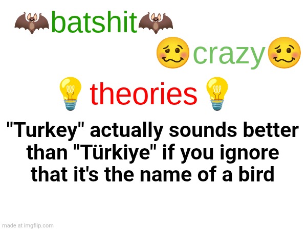 batshit crazy theories | "Turkey" actually sounds better
than "Türkiye" if you ignore
that it's the name of a bird | image tagged in batshit crazy theories | made w/ Imgflip meme maker