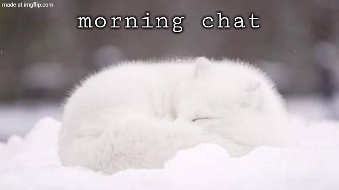 Mortal Kombat | morning chat | image tagged in mortal kombat | made w/ Imgflip meme maker