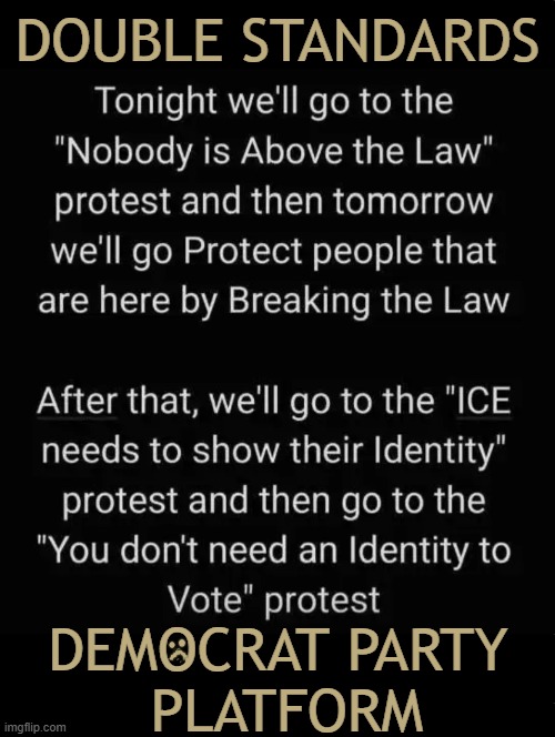 Confused/Corrupt Criminals | DOUBLE STANDARDS; DEMOCRAT PARTY 
PLATFORM | image tagged in double standards,corruption,confusion,lost in space,democrats,political humor | made w/ Imgflip meme maker