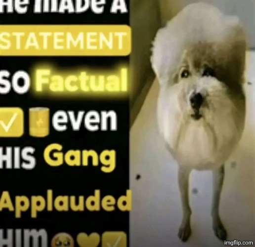 he made a statement so factual | image tagged in he made a statement so factual | made w/ Imgflip meme maker