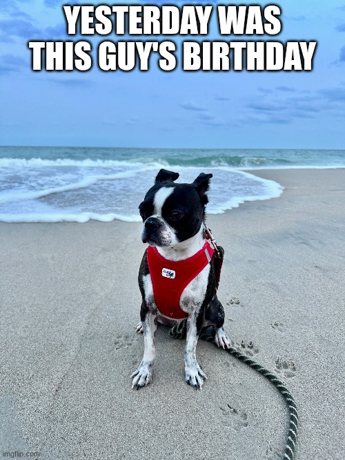 he's my doggy :D | YESTERDAY WAS THIS GUY'S BIRTHDAY | made w/ Imgflip meme maker
