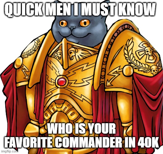 it is of utmost importance | QUICK MEN I MUST KNOW; WHO IS YOUR FAVORITE COMMANDER IN 40K | image tagged in kitten the captain general,warhammer40k | made w/ Imgflip meme maker